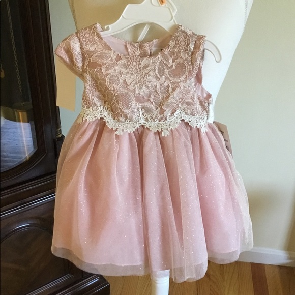 Other - CL🛑Pretty NWT Pink Shimmer w/Eyelet Lace Dress